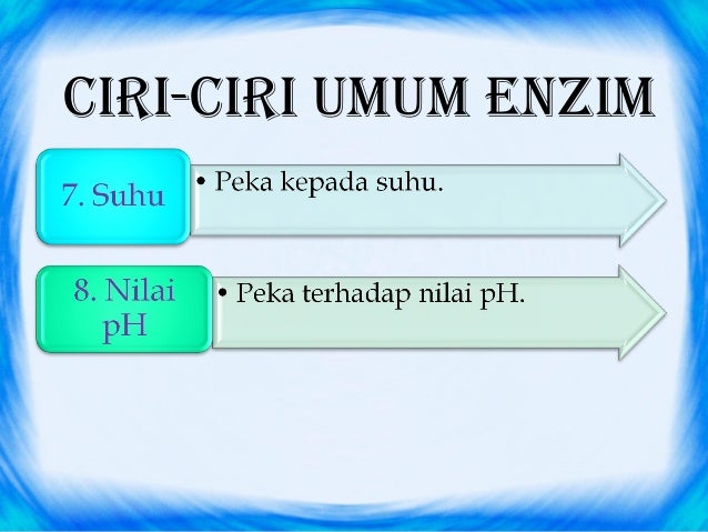 Enzim