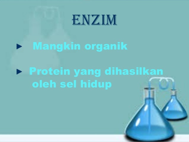 Isna Kurniawati Jenis Jenis Enzim Beserta Fungsinya