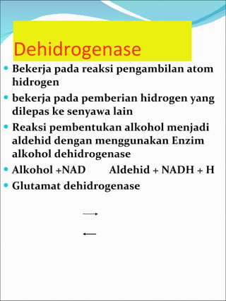 Dehidrogenase Bekerja pada reaksi pengambilan atom hidrogen bekerja pada pemberian hidrogen yang dilepas ke senyawa lain Reaksi pembentukan alkohol menjadi aldehid dengan menggunakan Enzim alkohol dehidrogenase Alkohol +NAD  Aldehid + NADH + H Glutamat dehidrogenase 