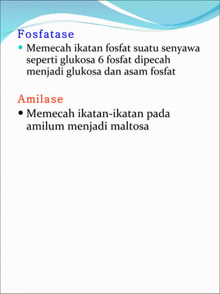 Fosfatase Memecah ikatan fosfat suatu senyawa seperti glukosa 6 fosfat dipecah menjadi glukosa dan asam fosfat  Amilase Memecah ikatan-ikatan pada amilum menjadi maltosa 