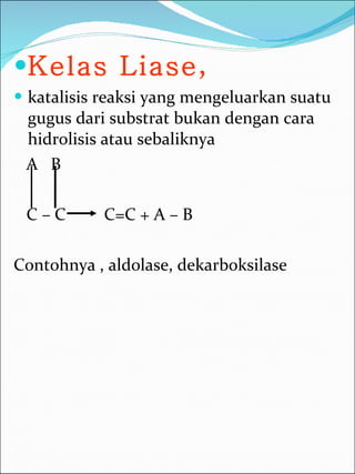 Kelas Liase ,  katalisis reaksi yang mengeluarkan suatu gugus dari substrat bukan dengan cara hidrolisis atau sebaliknya A  B C – C  C=C + A – B  Contohnya , aldolase, dekarboksilase 