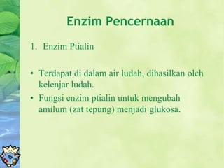 Fungsi enzim ptialin