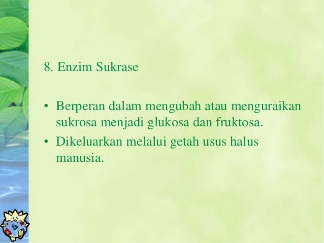 Enzim