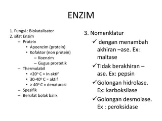 ENZIM 
1. Fungsi : Biokatalisator 
2. sifat Enzim 
– Protein 
• Apoenzim (protein) 
• Kofaktor (non protein) 
– Koenzim 
– Gugus prostetik 
– Thermolabil 
• <20o C = In aktif 
• 30-40o C = aktif 
• > 40o C = denaturasi 
– Spesifik 
– Bersifat bolak balik 
3. Nomenklatur 
 dengan menambah 
akhiran –ase. Ex: 
maltase 
Tidak berakhiran – 
ase. Ex: pepsin 
Golongan hidrolase. 
Ex: karboksilase 
Golongan desmolase. 
Ex : peroksidase 
 