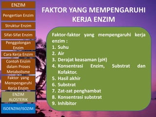 ENZIM
Pengertian Enzim
Struktur Enzim
Sifat-Sifat Enzim
Penggolongan
Enzim
Cara Kerja Enzim
Contoh Enzim
dalam Proses
Metabolisme
Faktor yang
Mempengaruhi
Kerja Enzim
ISOENZIM/ISOZIM
ENZIM
ALOSTERIK
FAKTOR YANG MEMPENGARUHI
KERJA ENZIM
Faktor-faktor yang mempengaruhi kerja
enzim :
1. Suhu
2. Air
3. Derajat keasaman (pH)
4. Konsentrasi Enzim, Substrat dan
Kofaktor.
5. Hasil akhir
6. Substrat
7. Zat-zat penghambat
8. Konsentrasi substrat
9. Inhibitor
 