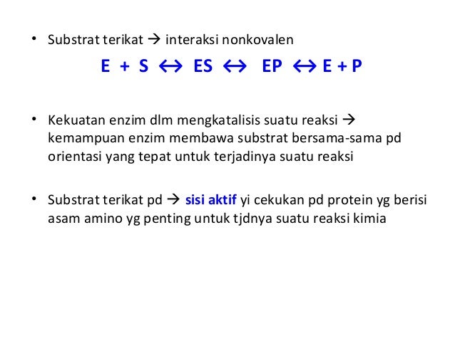 Enzim28ppt29