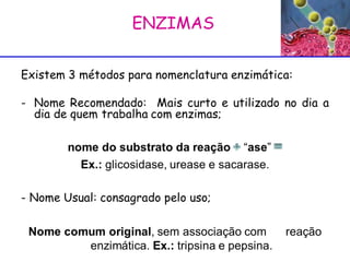 ENZIMAS  