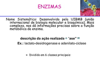 ENZIMAS  