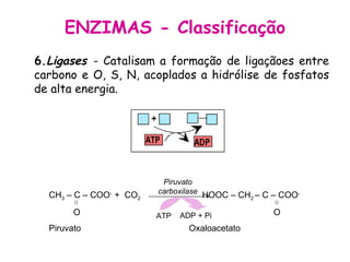 6. Ligases  - Catalisam a formação de ligaçãoes entre carbono e O, S, N, acoplados a hidrólise de fosfatos de alta energia. ENZIMAS - Classificação CH 3  – C – COO -  +  CO 2  HOOC – CH 2  – C – COO - O   O Piruvato  Oxaloacetato Piruvato carboxilase ATP ADP + Pi 