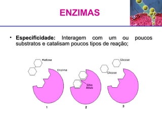 Especificidade:  Interagem com um ou poucos substratos e catalisam poucos tipos de reação; ENZIMAS   