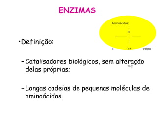 ENZIMAS  Definição: Catalisadores biológicos, sem alteração delas próprias; Longas cadeias de pequenas moléculas de aminoácidos. Aminoácidos: H R C* COOH NH2 