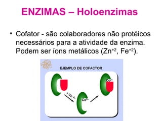 Cofator - são colaboradores não protéicos necessários para a atividade da enzima. Podem ser íons metálicos (Zn +2 , Fe +2 ). ENZIMAS – Holoenzimas   
