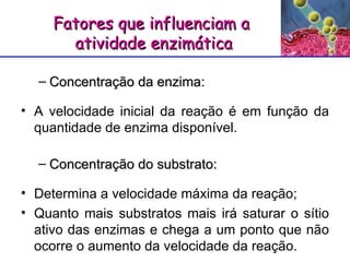 Concentração da enzima: A velocidade inicial da reação é em função da quantidade de enzima disponível. Concentração do substrato: Determina a velocidade máxima da reação;  Quanto mais substratos mais irá saturar o sítio ativo das enzimas e chega a um ponto que não ocorre o aumento da velocidade da reação. Fatores que influenciam a  atividade enzimática 
