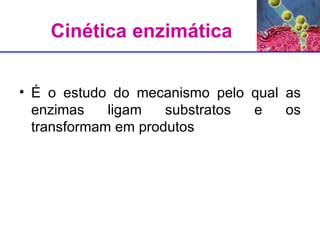 Cinética enzimática É o estudo do mecanismo pelo qual as enzimas ligam substratos e os transformam em produtos 