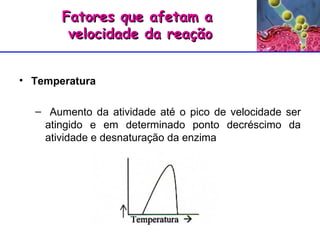 Temperatura Aumento da atividade até o pico de velocidade ser atingido e em determinado ponto decréscimo da atividade e desnaturação da enzima Fatores que afetam a  velocidade da reação 