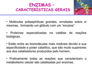 ENZIMAS –  CARACTERÍSTICAS GERAIS Moléculas polipeptídicas grandes, enroladas sobre si mesmas,  formando um glóbulo com um “encaixe”. Proteínas especializadas na catálise de reações biológicas. Estão entre as biomoléculas mais notáveis devido a sua especificidade e poder catalítico, que são muito superiores aos dos catalisadores produzidos pelo homem. Praticamente todas as reações que caracterizam o metabolismo celular são catalisadas por enzimas. 