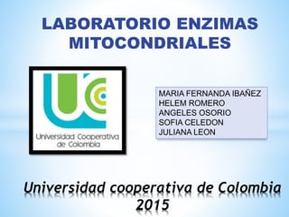 Universidad cooperativa de Colombia
2015
LABORATORIO ENZIMAS
MITOCONDRIALES
MARIA FERNANDA IBAÑEZ
HELEM ROMERO
ANGELES OSORIO
SOFIA CELEDON
JULIANA LEON
 