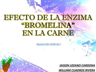EFECTO DE LA ENZIMA
“BROMELINA”
EN LA CARNE
JAISON LOZANO CARDONA
WILLIAM CUADROS RIVERA
Número CAS 37189-34-7
 