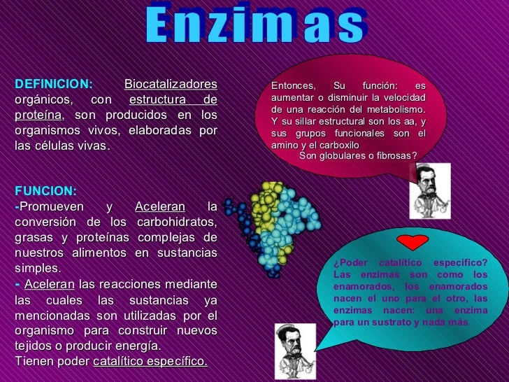 Enzimas