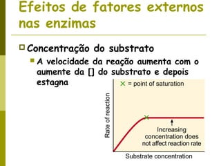 Efeitos de fatores externos
nas enzimas
 Concentração do substrato
 A velocidade da reação aumenta com o
aumente da [] do substrato e depois
estagna
 