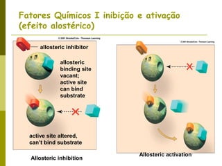 Fatores Químicos I inibição e ativação
(efeito alostérico)
allosteric inhibitor
allosteric
binding site
vacant;
active site
can bind
substrate
active site altered,
can’t bind substrate
Allosteric inhibition
Allosteric activation
 