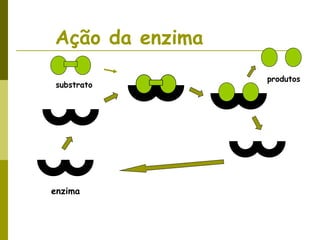 Ação da enzima
enzima
substrato
produtos
 