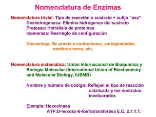 Nomenclatura de Enzimas
Nomenclatura trivial: Tipo de reacción o sustrato + sufijo “asa”
     Deshidrogenasa: Elimina hidrógenos del sustrato
     Proteasa: Hidrólisis de proteínas
     Isomerasa: Rearreglo de configuración

       Desventaja: Se presta a confusiones, ambigüedades,
                   nombres raros, etc.


Nomenclatura sistemática: Unión Internacional de Bioquímica y
     Biología Molecular (International Union of Biochemistry
     and Molecular Biology, IUBMB)

       Nombre y número de código: Reflejan el tipo de reacción
                                  catalizada y los sustratos
                                  involucrados

       Ejemplo: Hexocinasa
                ATP:D-hexosa-6-fosfotransferasa E.C. 2.7.1.1.
 