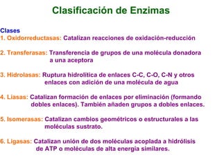 Clasificación de Enzimas
Clases
1. Oxidorreductasas: Catalizan reacciones de oxidación-reducción

2. Transferasas: Transferencia de grupos de una molécula donadora
                 a una aceptora

3. Hidrolasas: Ruptura hidrolítica de enlaces C-C, C-O, C-N y otros
               enlaces con adición de una molécula de agua

4. Liasas: Catalizan formación de enlaces por eliminación (formando
           dobles enlaces). También añaden grupos a dobles enlaces.

5. Isomerasas: Catalizan cambios geométricos o estructurales a las
               moléculas sustrato.

6. Ligasas: Catalizan unión de dos moléculas acoplada a hidrólisis
            de ATP o moléculas de alta energía similares.
 