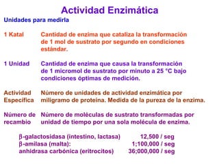 Actividad Enzimática
Unidades para medirla

1 Katal      Cantidad de enzima que cataliza la transformación
             de 1 mol de sustrato por segundo en condiciones
             estándar.

1 Unidad     Cantidad de enzima que causa la transformación
             de 1 micromol de sustrato por minuto a 25 °C bajo
             condiciones óptimas de medición.

Actividad    Número de unidades de actividad enzimática por
Específica   miligramo de proteína. Medida de la pureza de la enzima.

Número de Número de moléculas de sustrato transformadas por
recambio  unidad de tiempo por una sola molécula de enzima.

     β-galactosidasa (intestino, lactasa)       12,500 / seg
     β-amilasa (malta):                      1;100,000 / seg
     anhidrasa carbónica (eritrocitos)      36;000,000 / seg
 