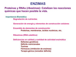 ENZIMAS
Proteínas y RNAs (ribozimas): Catalizan las reacciones
químicas que hacen posible la vida.

Importancia Biomédica
        Degradación de nutrientes

       Generación de energía y elementos de construcción celulares

       Ensamble de elementos de construcción
             Proteínas, membranas, ácidos nucleicos, etc.

       Ribozimas (RNA catalítico)

       Deficiencias en calidad y cantidad de actividad enzimática
               Defectos genéticos
               Déficits nutricionales
               Toxinas
               Fármacos (inhibición de enzimas)
               Terapia génica (remediar déficits)
 