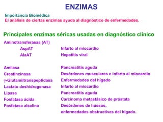 ENZIMAS
Importancia Biomédica
El análisis de ciertas enzimas ayuda al diagnóstico de enfermedades.


Principales enzimas séricas usadas en diagnóstico clínico
Aminotransferasas (AT)
          AspAT             Infarto al miocardio
          AlaAT             Hepatitis viral


Amilasa                     Pancreatitis aguda
Creatíncinasa               Desórdenes musculares e infarto al miocardio
γ-Glutamiltranspeptidasa    Enfermedades del hígado
Lactato deshidrogenasa      Infarto al miocardio
Lipasa                      Pancreatitis aguda
Fosfatasa ácida             Carcinoma metastásico de próstata
Fosfatasa alcalina          Desórdenes de huesos,
                            enfermedades obstructivas del hígado.
 