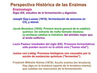 Perspectiva Histórica de las Enzimas
 Enzimología
 Siglo XIX, estudios de la fermentación y digestión.

 Joseph Gay-Lussac (1810): fermentación de azúcares en
       CO2 y etanol.

 Jacob Berzelius (1835): Primera teoría general de la catálisis
        química: Un extracto de malta llamado diastasa
        (α-amilasa) cataliza la hidrólisis del almidón mejor que
        el ácido sulfúrico.

 Louis Pasteur (mediados del siglo XIX): Procesos fermentativos
        sólo pueden ocurrir en la célula viva ("fuerza vital").

 Justus von Liebig: Procesos biológicos son causados por la
        acción de sustancias químicas ("fermentos").

 Friedrich Wilhelm Kühne (1878): Acuña enzima (en levadura).
         Hay algo en la levadura (aparte de la levadura misma)
         que cataliza las reacciones de la fermentación.
 