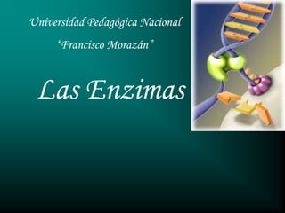 Las Enzimas
Universidad Pedagógica Nacional
“Francisco Morazán”
 