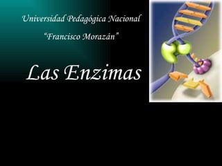 Las Enzimas   Universidad Pedagógica Nacional  “ Francisco Morazán”  