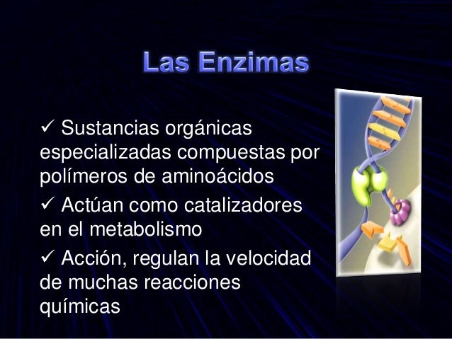 Enzimas Enzimas