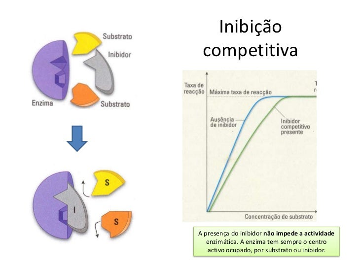 Resultado de imagem para inibiÃ§Ã£o competitiva enzimas