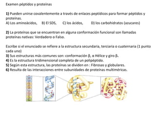 Examen péptidos y proteínas 1)  Pueden unirse covalentemente a través de enlaces peptídicos para formar péptidos y proteínas. A) Los aminoácidos,  B) El SDS,  C) los ácidos,  D) los carbohidratos (azucares)  2)  La proteínas que se encuentran en alguna conformación funcional son llamadas proteínas nativas: Verdadero o Falso. Escribe si el enunciado se refiere a la estructura secundaria, terciaria o cuaternaria (1 punto cada uno) 3)  Sus estructuras más comunes son: conformación  β ,  α  Hélice y giro  β . 4)  Es la estructura tridimensional completa de un polipéptido. 5)  Según esta estructura, las proteínas se dividen en : Fibrosas y globulares. 6)  Resulta de las interacciones entre subunidades de proteínas multiméricas. 