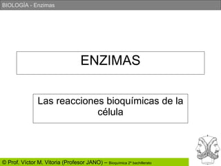 ENZIMAS Las reacciones bioquímicas de la célula 