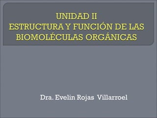Dra. Evelin Rojas  Villarroel 