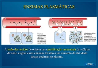 A  lesão dos tecidos  de origem ou a  proliferação aumentada  das células de onde surgem essas enzimas levarão a um aumento da atividade dessas enzimas no plasma.  ENZIMAS PLASMÁTICAS 