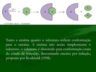 Tanto a enzima quanto o substrato sofrem conformação
para o encaixe. A enzima não aceita simplesmente o
substrato, o substrato é distorcido para conformação exata
do estado de transição, denominado encaixe por indução,
proposto por Koshland (1958).
 