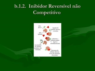 b.1.2. Inibidor Reversível não
         Competitivo
 