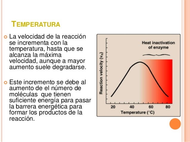 Enzimas