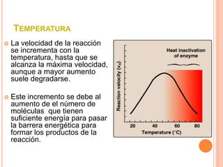 TEMPERATURA
   La velocidad de la reacción
    se incrementa con la
    temperatura, hasta que se
    alcanza la máxima velocidad,
    aunque a mayor aumento
    suele degradarse.

   Este incremento se debe al
    aumento de el número de
    moléculas que tienen
    suficiente energía para pasar
    la barrera energética para
    formar los productos de la
    reacción.
 