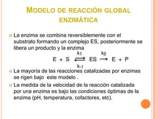 MODELO DE REACCIÓN GLOBAL
                      ENZIMÁTICA

   La enzima se combina reversiblemente con el
    substrato formando un complejo ES, posteriormente se
    libera un producto y la enzima



 La mayoría de las reacciones catalizadas por enzimas
  se rigen bajo este modelo .
 La medida de la velocidad de la reacción catalizada
  por una enzima es bajo las condiciones óptimas de la
  enzima (pH, temperatura, cofactores, etc).
 