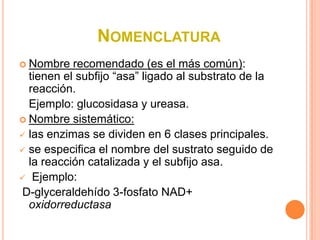 NOMENCLATURA
 Nombre   recomendado (es el más común):
  tienen el subfijo “asa” ligado al substrato de la
  reacción.
  Ejemplo: glucosidasa y ureasa.
 Nombre sistemático:
 las enzimas se dividen en 6 clases principales.
 se especifica el nombre del sustrato seguido de
  la reacción catalizada y el subfijo asa.
 Ejemplo:
D-glyceraldehído 3-fosfato NAD+
  oxidorreductasa
 