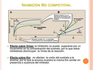 INHIBICIÓN NO COMPETITIVA.




   Efecto sobre Vmax: la inhibición no puede superarse por un
    incremento en la concentración del sustrato, por lo que estos
    inhibidores disminuyen la Vmax de la reacción.

   Efecto sobre Km: no afectan la unión del sustrato a la
    enzima, por lo que la enzima muestra la misma Km similar en
    presencia o ausencia del inhibidor.
 