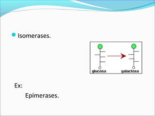 Isomerases.




Ex:
      Epímerases.
 
