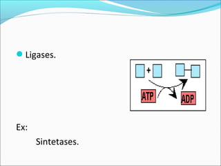 Ligases.




Ex:
      Sintetases.
 