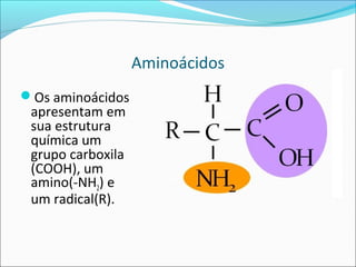 Aminoácidos
Os aminoácidos
 apresentam em
 sua estrutura
 química um
 grupo carboxila
 (COOH), um
 amino(-NH2) e
 um radical(R).
 